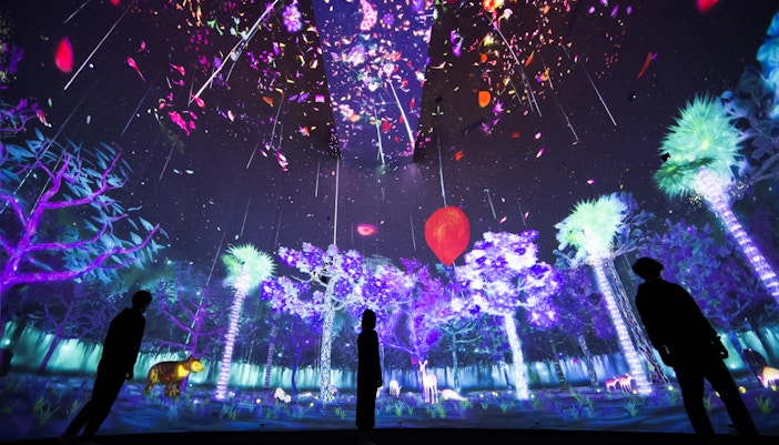 Exhibitions at the National Museum of Singapore.