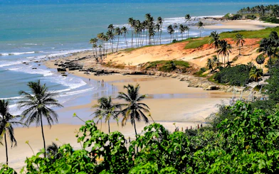 Lagoinha Beach with palm trees, cliffs, and ocean waves near Fortaleza, Brazil.