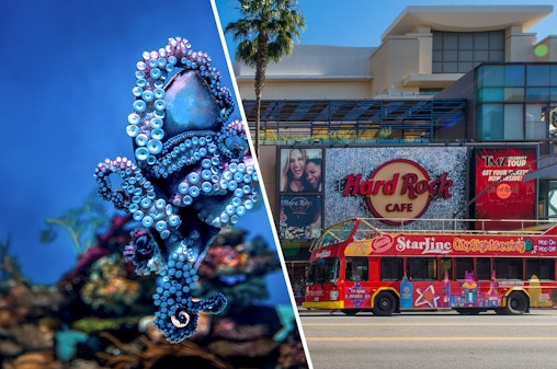 Acuario del Pacífico + City Sightseeing de LA y Hollywood