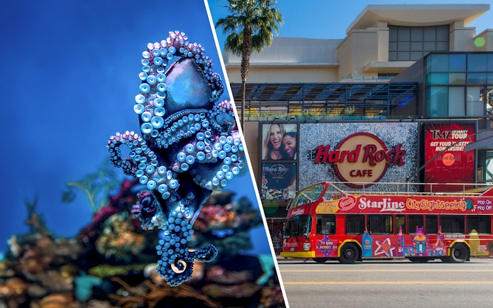 Aquarium octopus and Los Angeles sightseeing bus near Hard Rock Cafe.