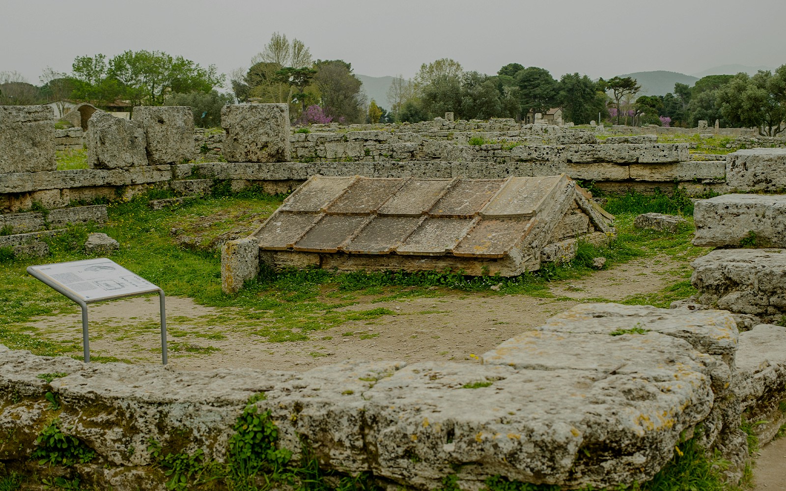Museum of Paestum