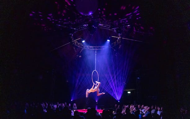 Aerial performer on hoop at La Clique show with audience in dimly lit theater.