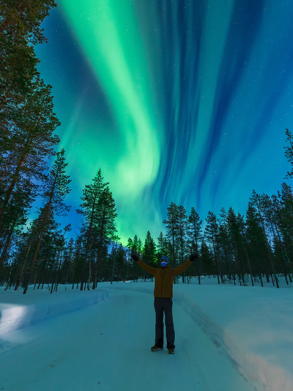 Man observing northern lights in snowy Arctic Circle forest.