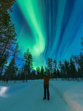 Man observing northern lights in snowy Arctic Circle forest.