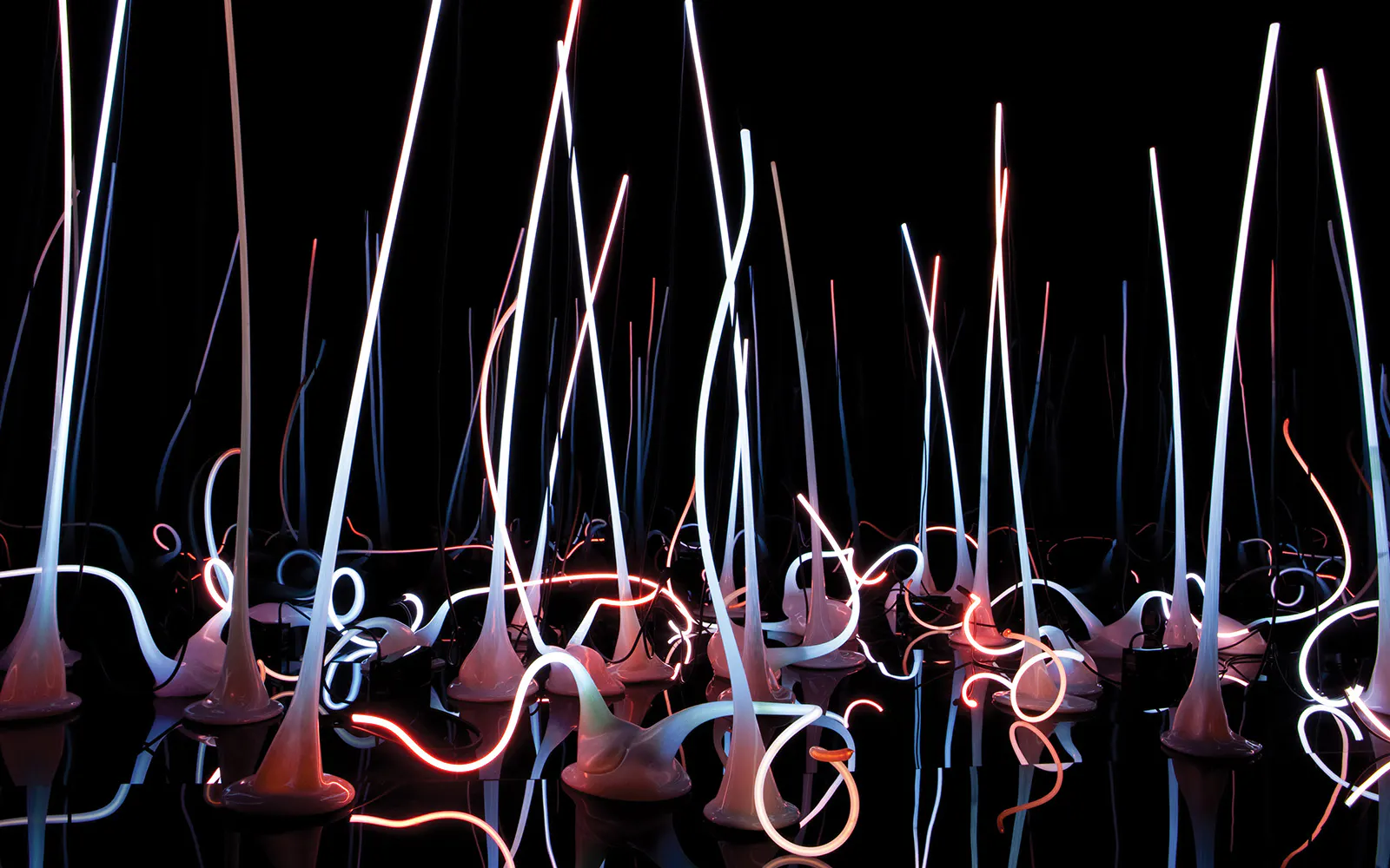 Glass sculptures with neon lights at Chihuly Garden and Glass, Seattle.