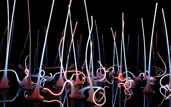 Glass sculptures with neon lights at Chihuly Garden and Glass, Seattle.