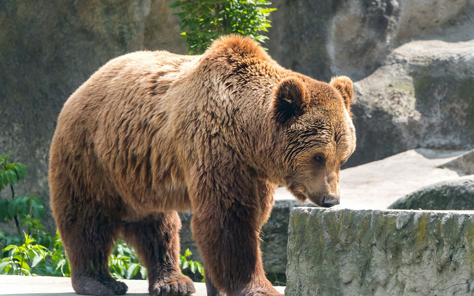 Budapest Zoo and Botanical Gardens