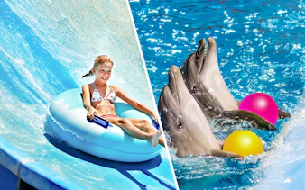 Child on water slide and dolphins with balls at Ramayana Water Park.