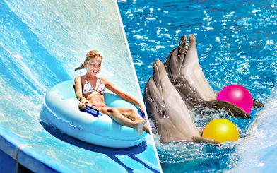Child on water slide and dolphins with balls at Ramayana Water Park.