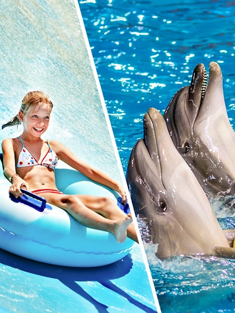 Child on water slide and dolphins with balls at Ramayana Water Park.