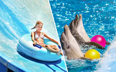 Child on water slide and dolphins with balls at Ramayana Water Park.