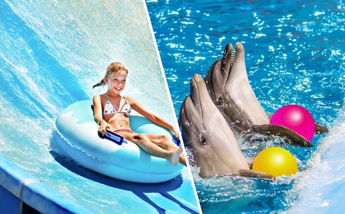 Child on water slide and dolphins with balls at Ramayana Water Park.
