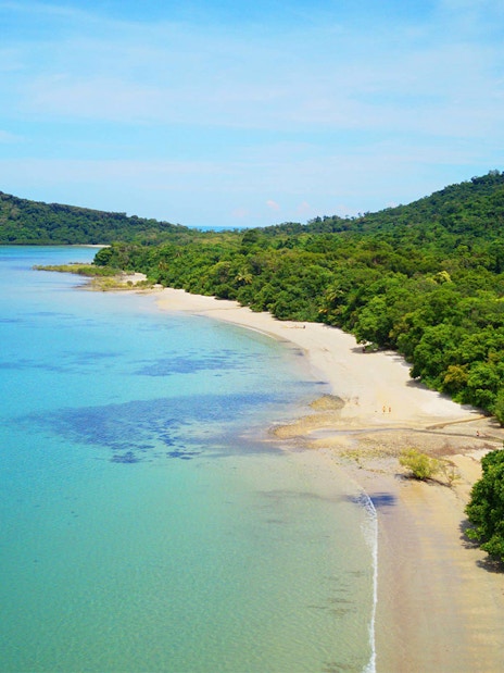 Cape Tribulation beach with lush rainforest and clear blue water, Australia.