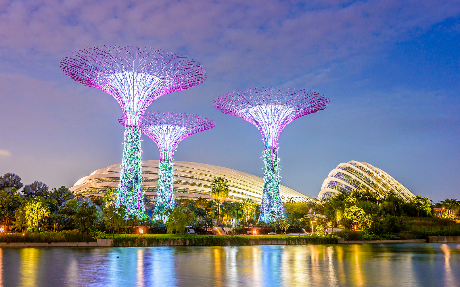 Floral Fantasy Singapore