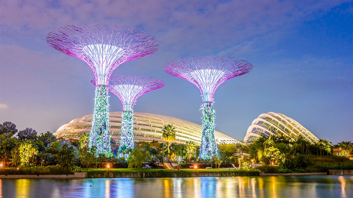 Floral Fantasy Singapore