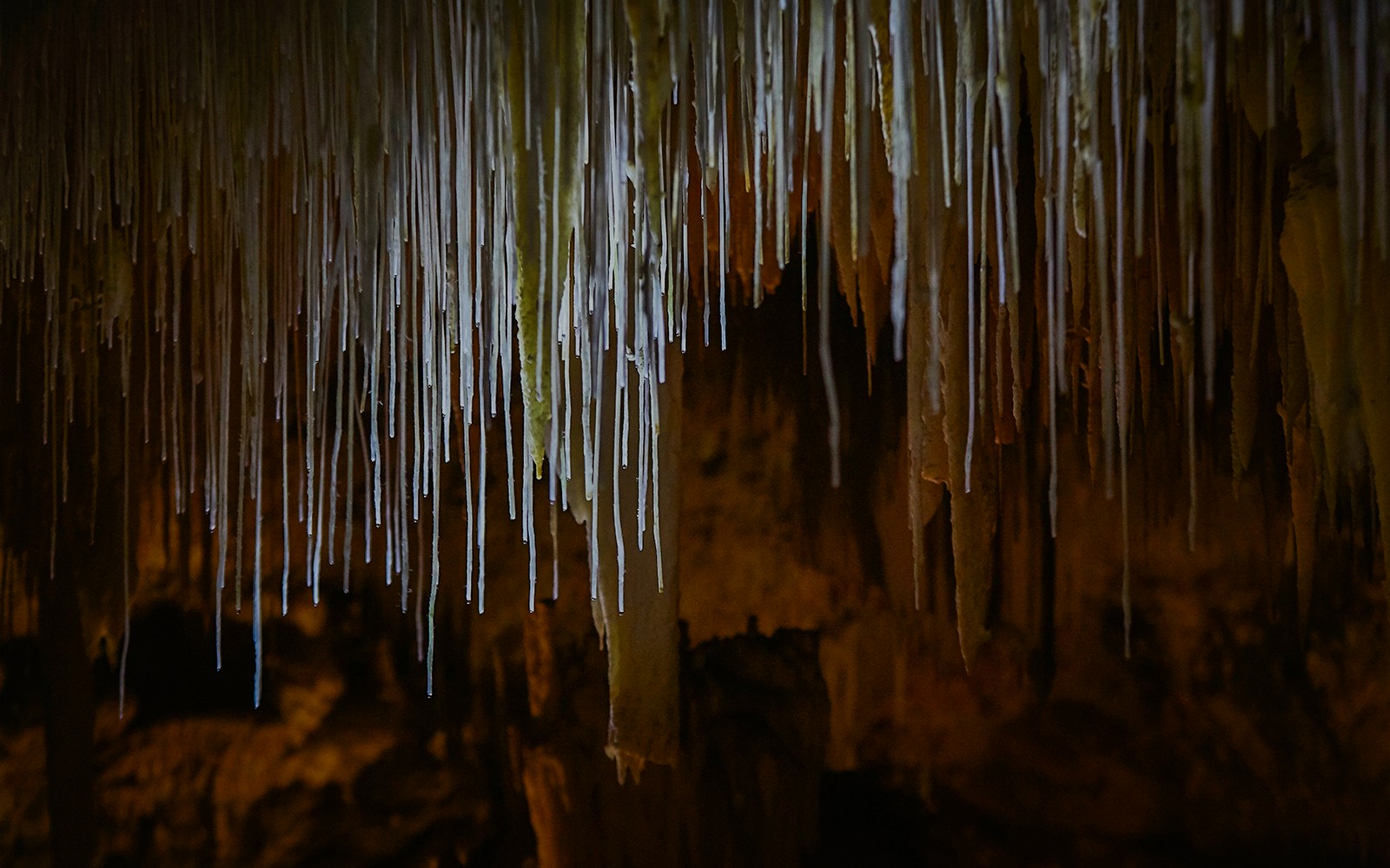 Soda straw & stalactite formations