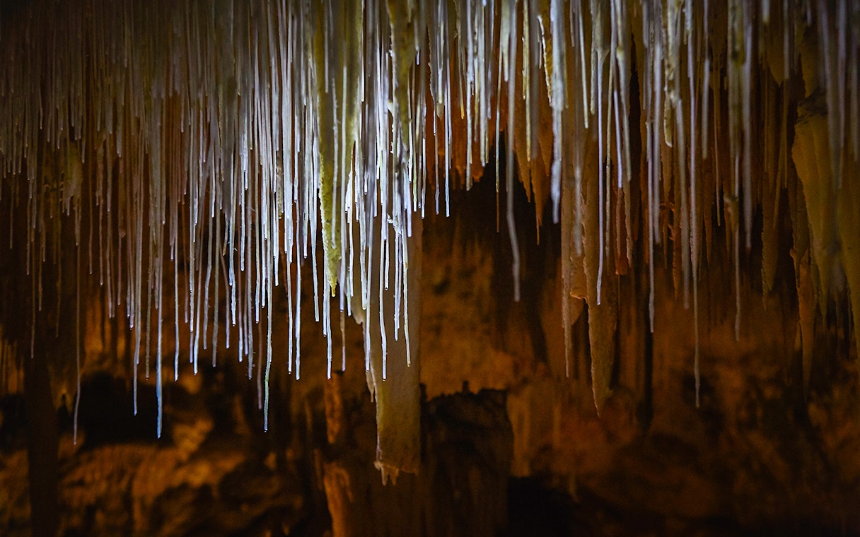 Thin straw stalactites in Lake Cave, Margaret River.