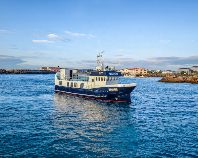 Hjalteyri: Whale Watching Small Group Boat Tour