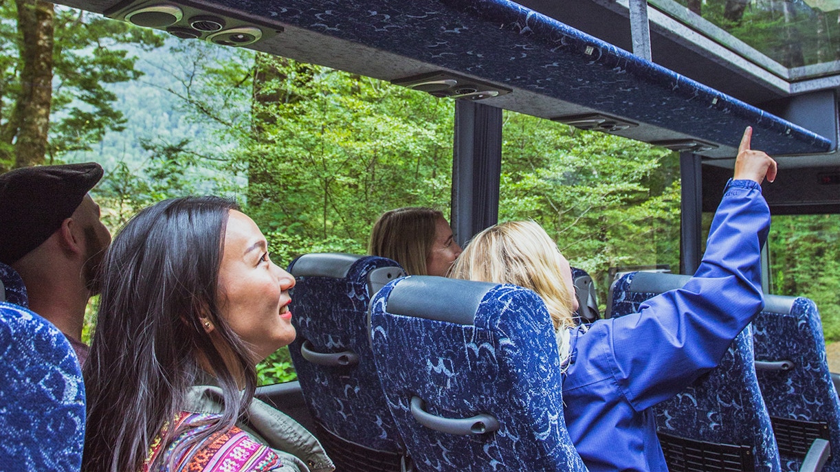 Passengers enjoying scenic views through glass roof on Milford Sound coach.