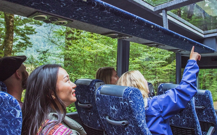Passengers enjoying scenic views through glass roof on Milford Sound coach.