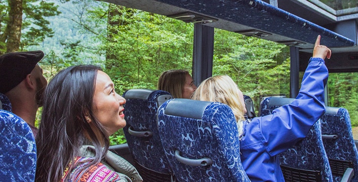 Passengers enjoying scenic views through glass roof on Milford Sound coach.