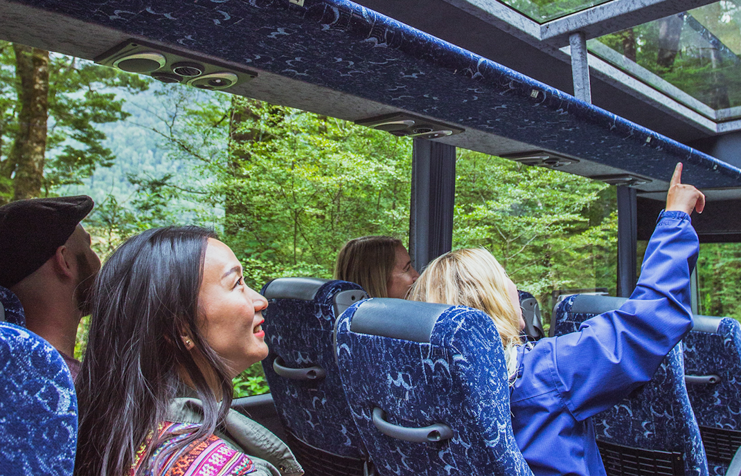Glass roof coach to travel to Milford Sound