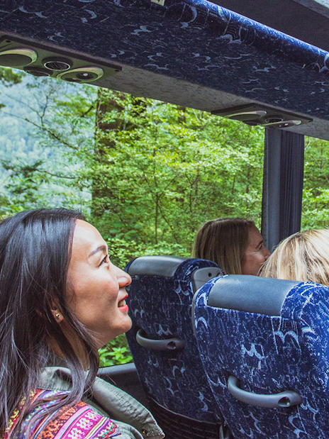 Passengers enjoying scenic views through glass roof on Milford Sound coach.
