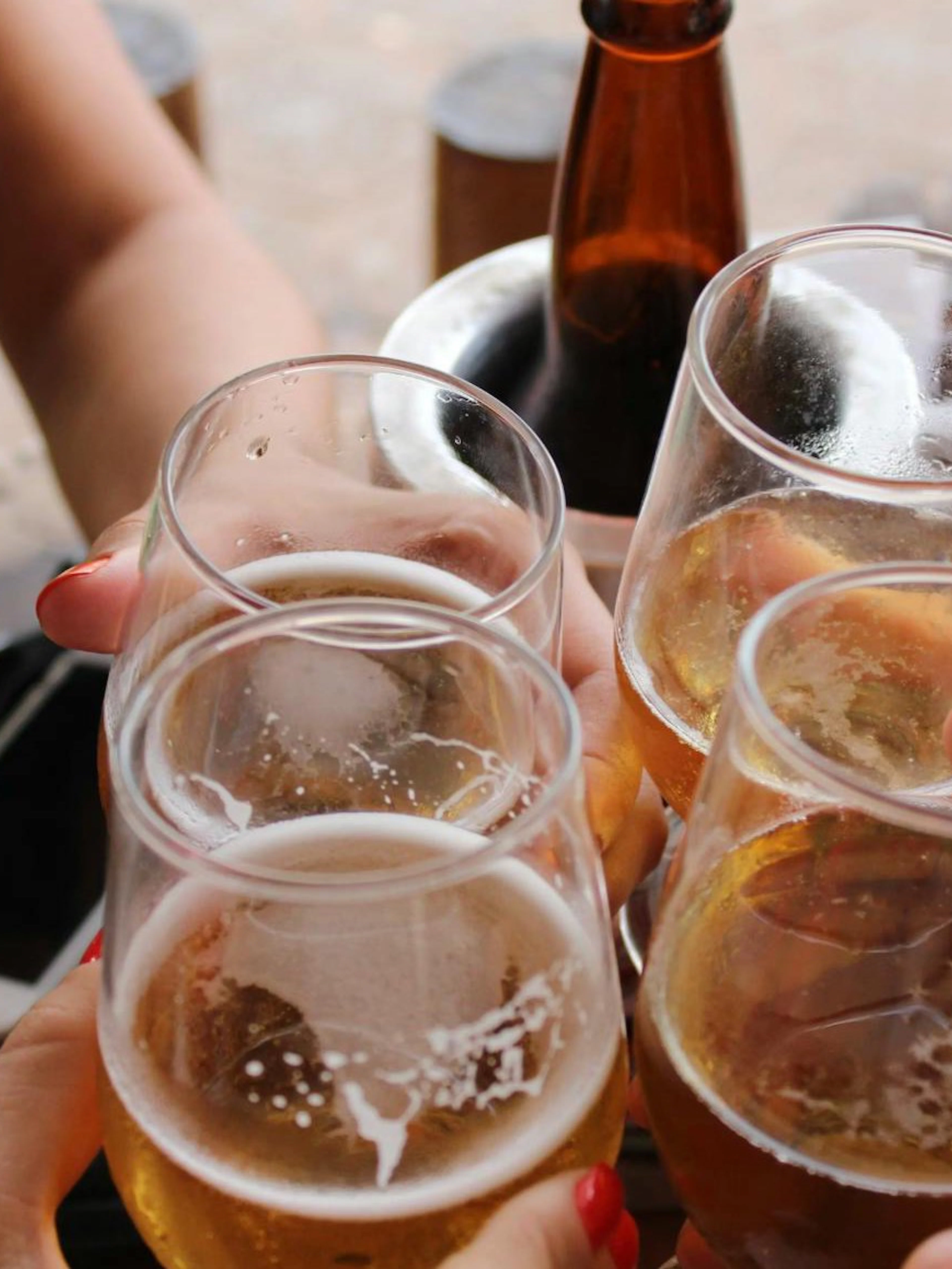 Group toasting with beer glasses on Haarlem beer tour.