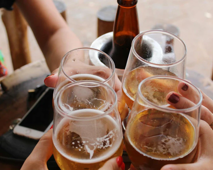 Haarlem: Craft Beer Tasting Tour