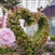 Flower Dome