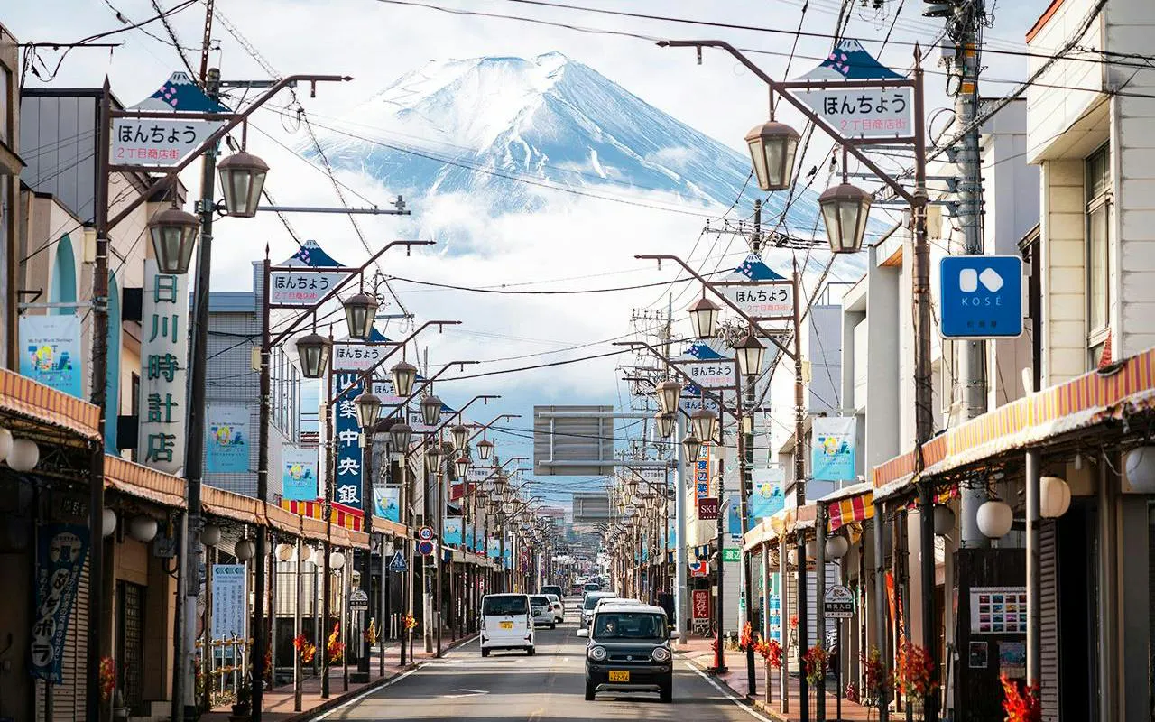 From Tokyo: Mt. Fuji Private Charter with Driver
