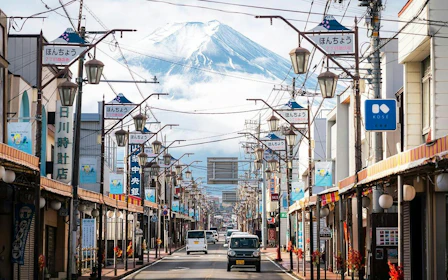 From Tokyo: Mt. Fuji Private Charter with Driver