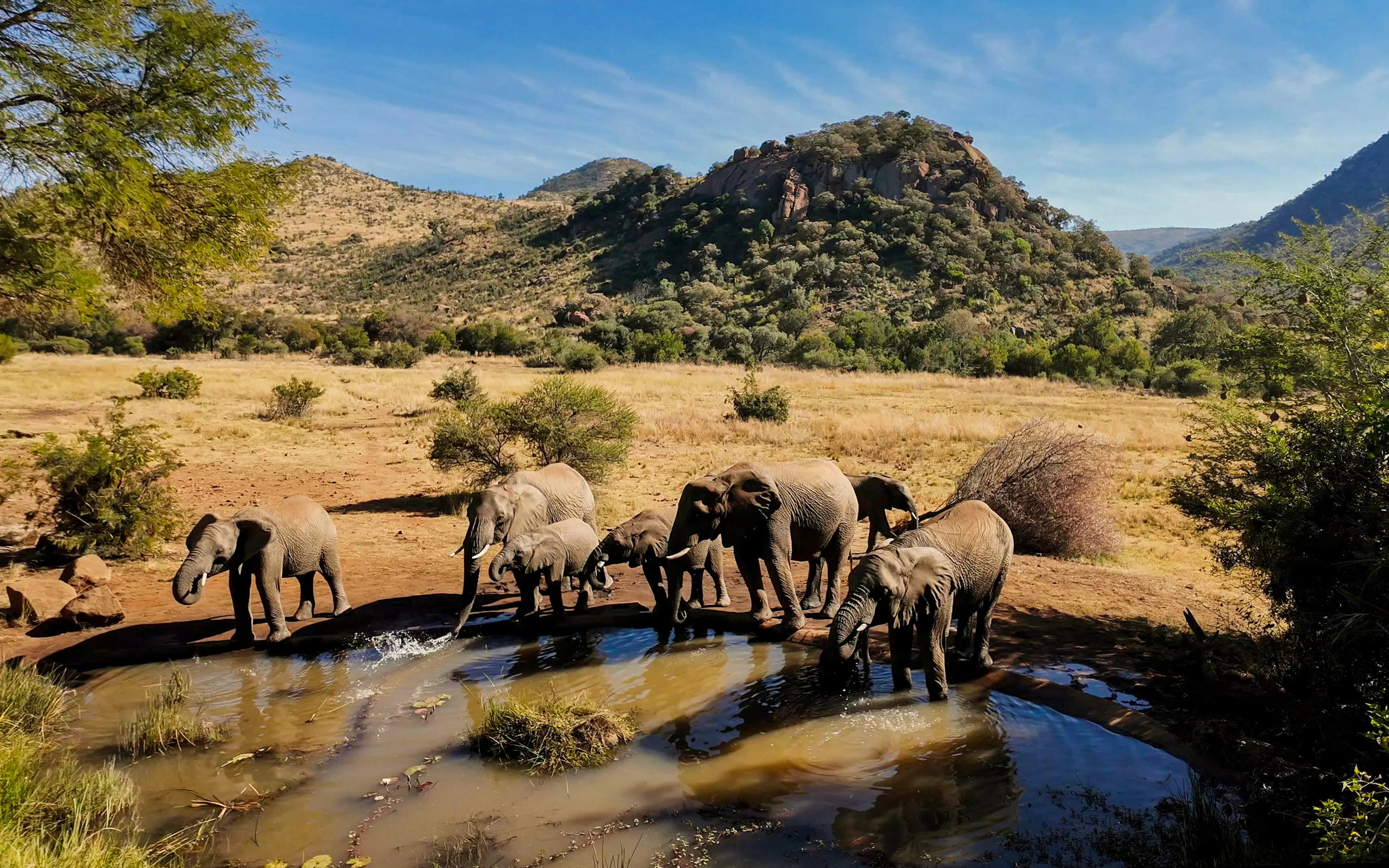 Pilanesberg National Park