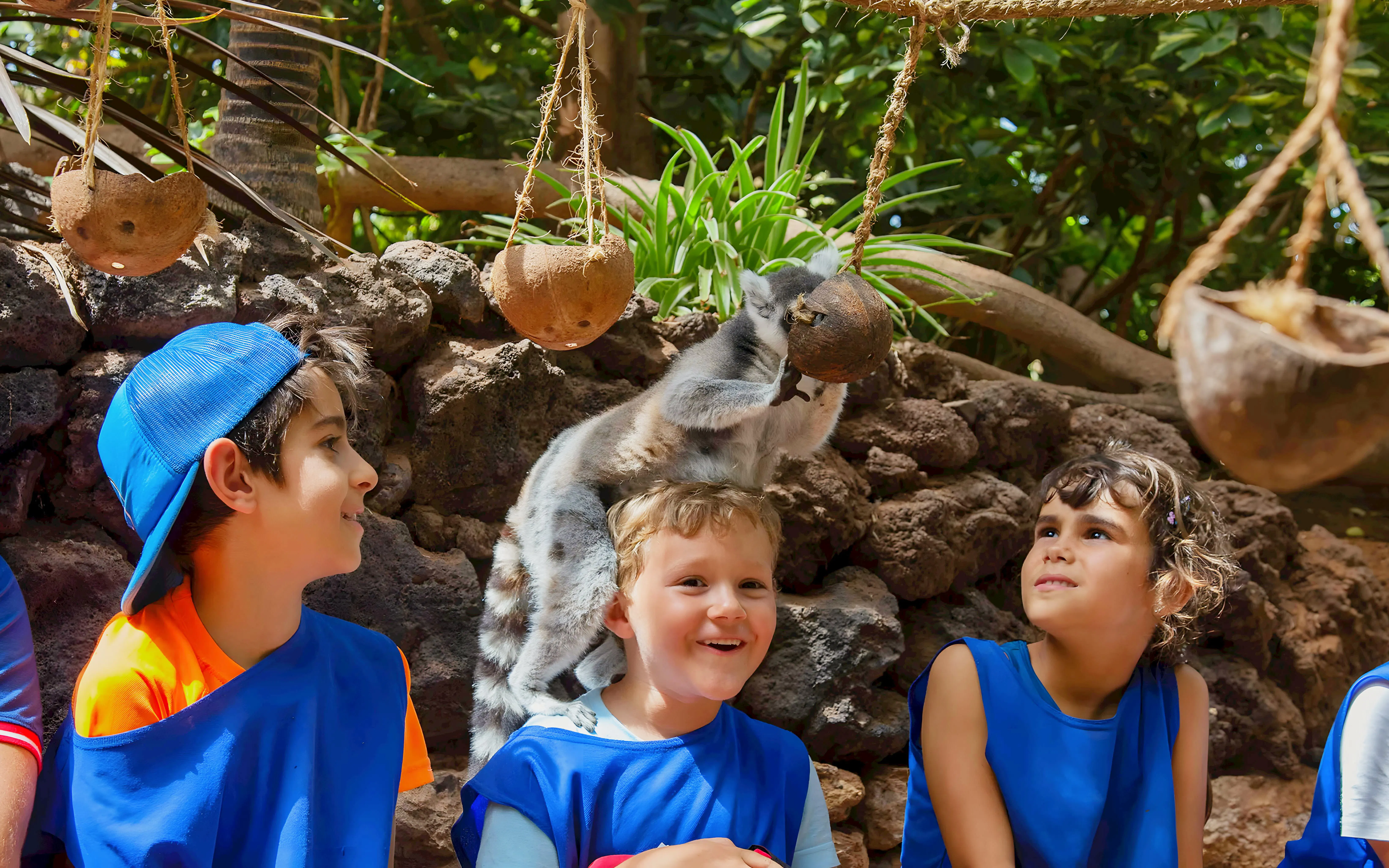 Children interacting with a lemur at Oasis Wildlife, surrounded by hanging coconuts.