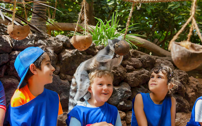 Children interacting with a lemur at Oasis Wildlife, surrounded by hanging coconuts.