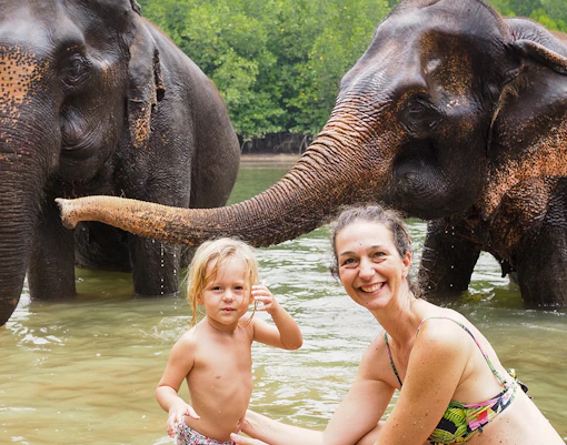 Visitors interacting with elephants in water at Krabi Elephant Shelter.