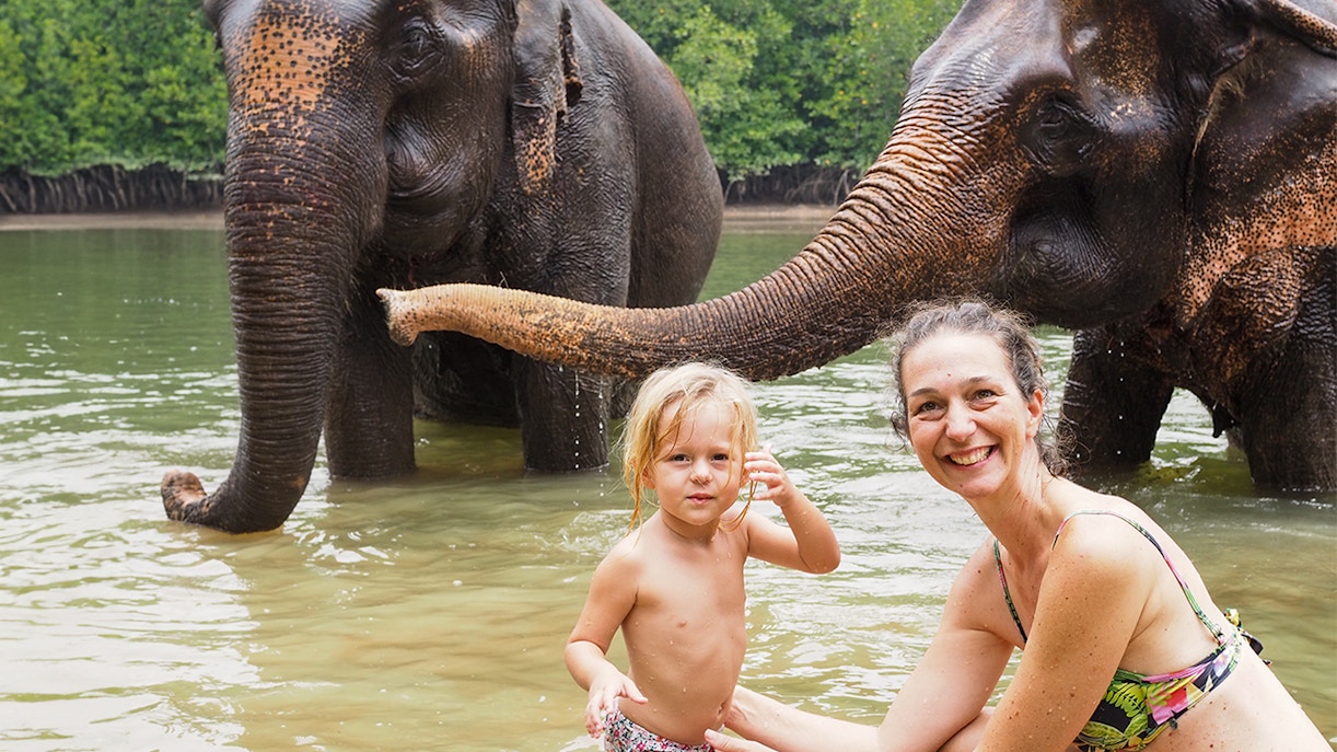 Visitors interacting with elephants in water at Krabi Elephant Shelter.