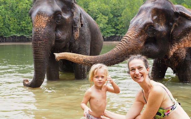 Visitors interacting with elephants in water at Krabi Elephant Shelter.
