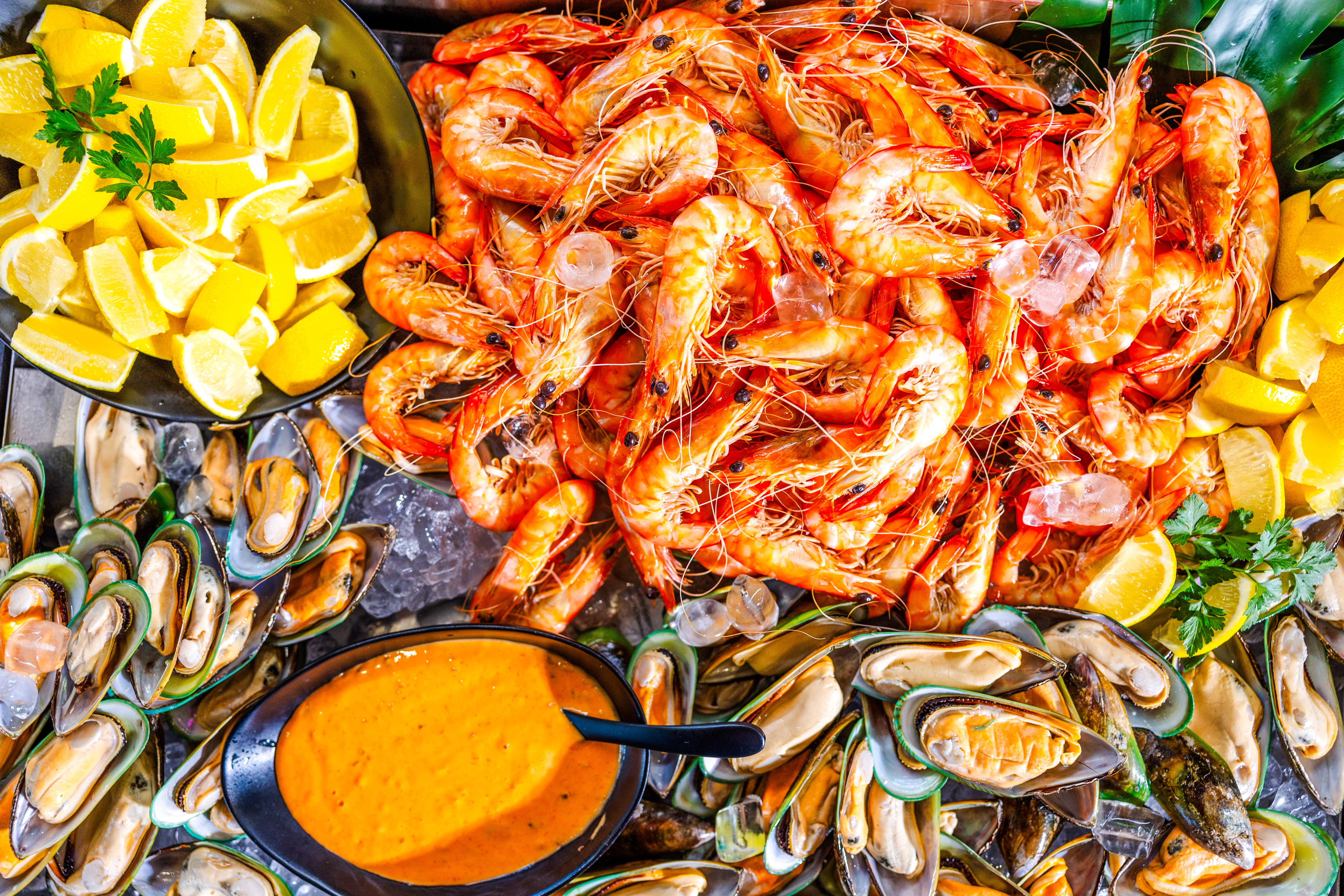 gold coast sightseeingkrydstogtsskib med buffet til frokost-10