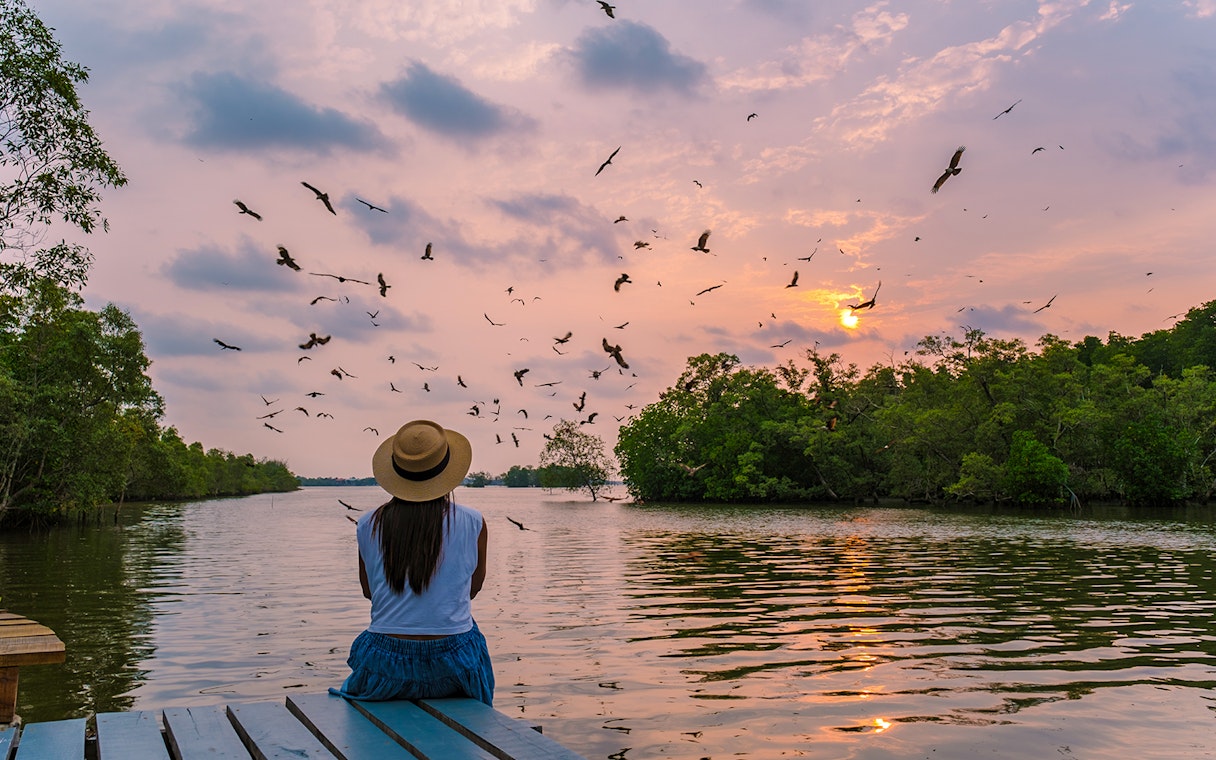 Woman observing eagles at sunset during a mangrove tour.