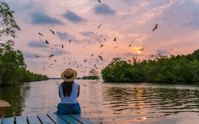 Woman observing eagles at sunset during a mangrove tour.