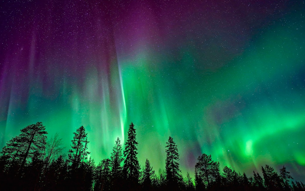 Northern Lights over snowy Rovaniemi landscape with silhouetted trees.