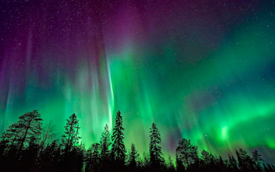 Northern Lights over snowy Rovaniemi landscape with silhouetted trees.