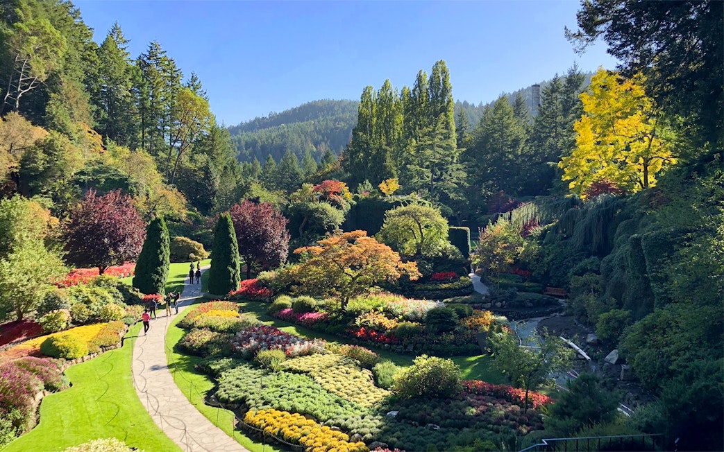 Butchart Gardens in Victoria, BC with colorful flower beds and lush greenery.
