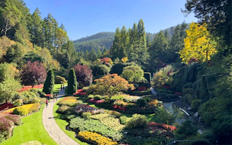 Butchart Gardens in Victoria, BC with colorful flower beds and lush greenery.