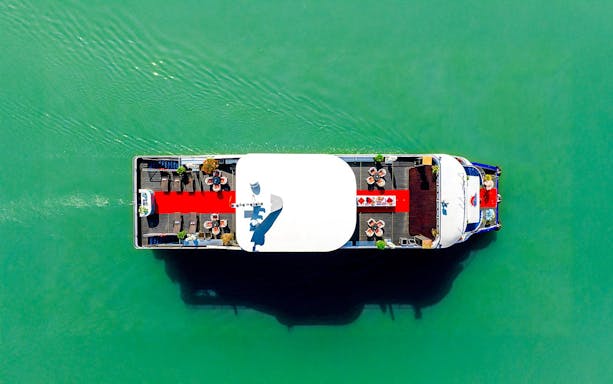 Aerial view of a boat with a red carpet and seating on the Deck of Harmony.