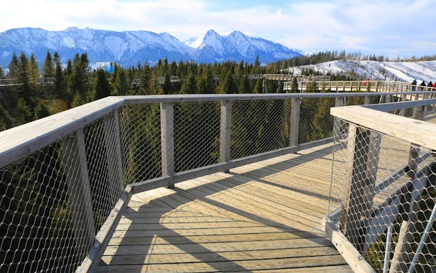 Treetop walkway in Slovakia with snow-capped mountains in the background.