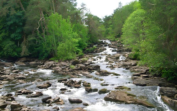 Rocky stream surrounded by lush greenery on the Loch Lomond, Stirling Castle & The Kelpies Day Tour.