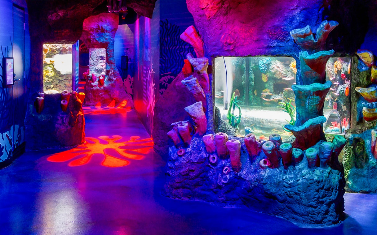 Colorful coral displays and aquarium tanks at SEA LIFE Melbourne.