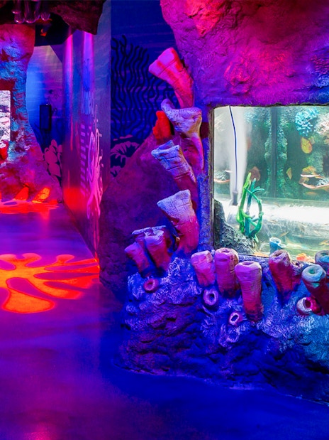 Colorful coral displays and aquarium tanks at SEA LIFE Melbourne.